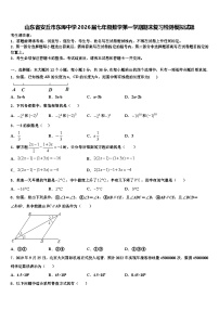 山东省安丘市东埠中学2026届七年级数学第一学期期末复习检测模拟试题含解析