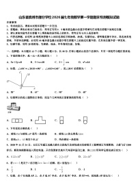 山东省滨州市部分学校2026届七年级数学第一学期期末检测模拟试题含解析
