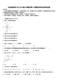 山东省德州市八校2026届七年级数学第一学期期末教学质量检测试题含解析