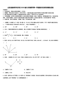 山东省德州市经开区2026届七年级数学第一学期期末质量检测模拟试题含解析