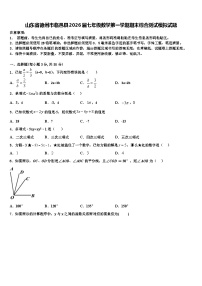 山东省德州市临邑县2026届七年级数学第一学期期末综合测试模拟试题含解析