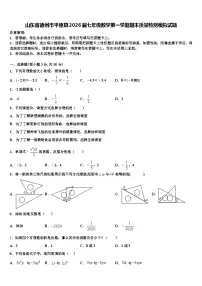 山东省德州市平原县2026届七年级数学第一学期期末质量检测模拟试题含解析