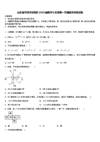 山东省菏泽市定陶区2026届数学七年级第一学期期末检测试题含解析