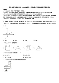 山东省菏泽市巨野县2026届数学七年级第一学期期末考试模拟试题含解析