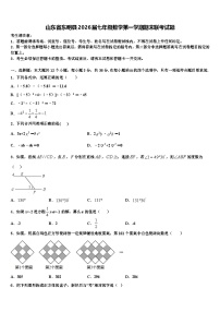 山东省东明县2026届七年级数学第一学期期末联考试题含解析