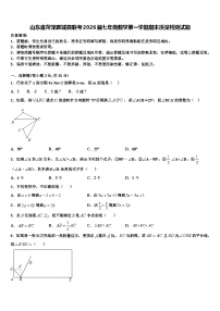 山东省菏泽鄄城县联考2026届七年级数学第一学期期末质量检测试题含解析