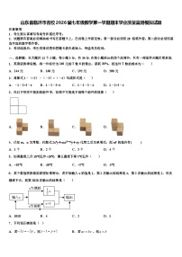 山东省临沂市名校2026届七年级数学第一学期期末学业质量监测模拟试题含解析
