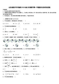山东省临沂市沂南县2026届七年级数学第一学期期末达标检测试题含解析