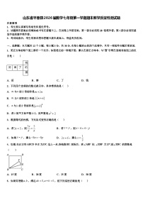 山东省平原县2026届数学七年级第一学期期末教学质量检测试题含解析