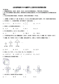 山东省莒南县2026届数学七上期末综合测试模拟试题含解析
