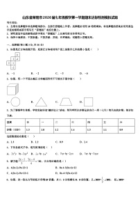 山东省莱阳市2026届七年级数学第一学期期末达标检测模拟试题含解析