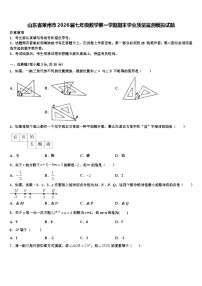 山东省莱州市2026届七年级数学第一学期期末学业质量监测模拟试题含解析