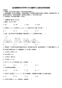 山东省聊城市文轩中学2026届数学七上期末达标检测试题含解析