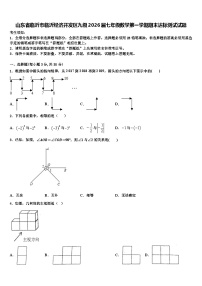 山东省临沂市临沂经济开发区九级2026届七年级数学第一学期期末达标测试试题含解析