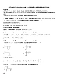 山东省临沂市河东区2026届七年级数学第一学期期末达标检测试题含解析