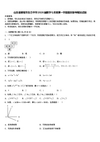 山东省聊城市东方中学2026届数学七年级第一学期期末联考模拟试题含解析