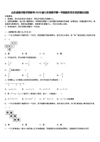 山东省临沂临沭县联考2026届七年级数学第一学期期末综合测试模拟试题含解析