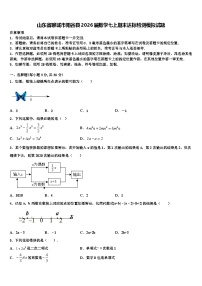 山东省聊城市阳谷县2026届数学七上期末达标检测模拟试题含解析