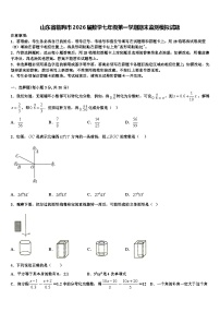 山东省临朐市2026届数学七年级第一学期期末监测模拟试题含解析