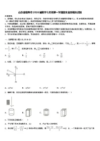 山东省临朐市2026届数学七年级第一学期期末监测模拟试题含解析
