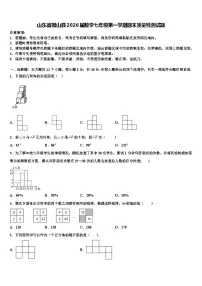 山东省微山县2026届数学七年级第一学期期末质量检测试题含解析