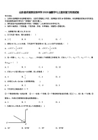 山东省武城县实验中学2026届数学七上期末复习检测试题含解析