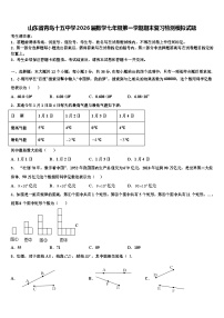 山东省青岛十五中学2026届数学七年级第一学期期末复习检测模拟试题含解析