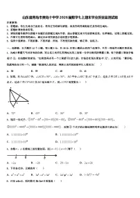 山东省青岛市黄岛十中学2026届数学七上期末学业质量监测试题含解析