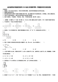 山东省青岛市集团校联考2026届七年级数学第一学期期末综合测试试题含解析
