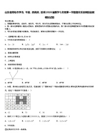 山东省青岛市李沧、平度、西海岸、胶州2026届数学七年级第一学期期末质量跟踪监视模拟试题含解析
