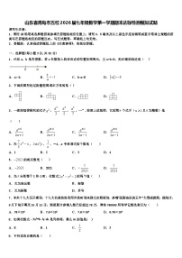 山东省青岛市五校2026届七年级数学第一学期期末达标检测模拟试题含解析