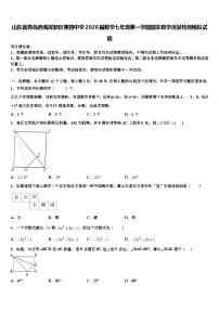 山东省青岛西海岸新区第四中学2026届数学七年级第一学期期末教学质量检测模拟试题含解析