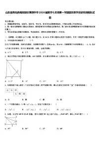 山东省青岛西海岸新区第四中学2026届数学七年级第一学期期末教学质量检测模拟试题含解析