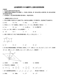 山东省青州市2026届数学七上期末达标检测试题含解析