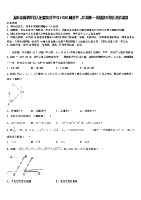 山东省曲阜师范大附属实验学校2026届数学七年级第一学期期末综合测试试题含解析