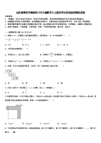 山东省泰安市高新区2026届数学七上期末学业质量监测模拟试题含解析