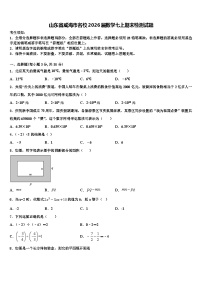 山东省威海市名校2026届数学七上期末检测试题含解析