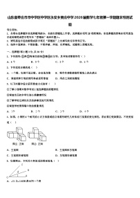 山东省枣庄市市中学区中学区永安乡黄庄中学2026届数学七年级第一学期期末检测试题含解析