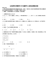 山东省枣庄市滕州市2026届数学七上期末监测模拟试题含解析