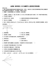 山西省（临汾地区）2026届数学七上期末复习检测试题含解析