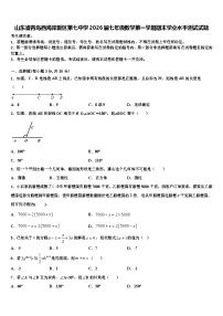 山东省青岛西海岸新区第七中学2026届七年级数学第一学期期末学业水平测试试题含解析