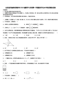 山东省济南商河县联考2026届数学七年级第一学期期末学业水平测试模拟试题含解析