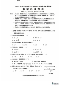 广东省揭阳市普宁市2024-2025学年八年级上学期1月期末数学试题