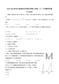 2025-2026学年山东省枣庄市部分学校八年级（上）月考数学试卷（10月份）-自定义类型