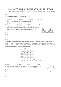 2025-2026学年浙江省金华市东阳市九年级（上）期中数学试卷-自定义类型