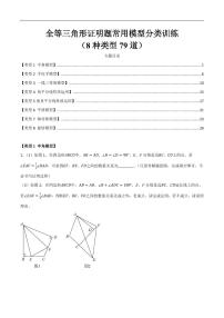 全等三角形证明题常用模型分类训练（8种类型79道）练习含答案--八年级数学上册月考