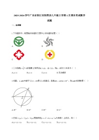 2025_2026学年广东省阳江市阳西县九年级上学期1月期末考试数学试卷【附解析】