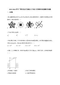 2025_2026学年广西河池市天峨县八年级上学期期末检测数学试卷【附解析】