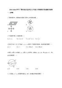 2025_2026学年广西河池市宜州区九年级上学期期末考试数学试卷【附解析】
