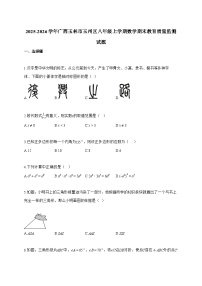 2025_2026学年广西玉林市玉州区八年级上学期数学期末教育质量监测试卷【附解析】